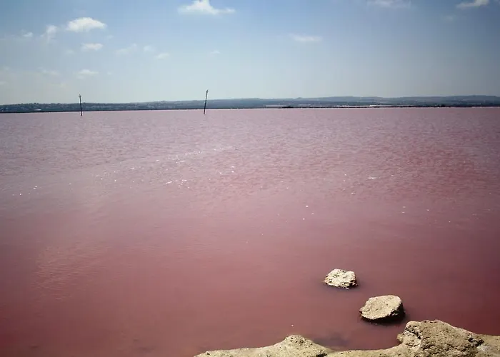 Berry Playa Naufragos