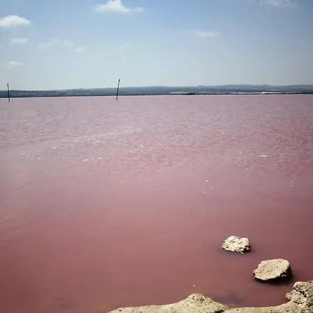 Berry Playa Naufragos